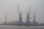 Nebel im Hafen