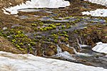 Zagari Pass,