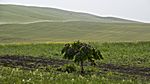 Waschlowani Nationalpark