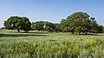 Waschlowani Nationalpark