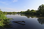 Rückhaltebecken Berner Au