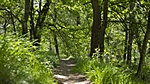 Duvenstedter Brook,