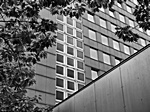 City-Hof