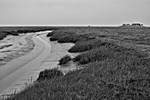 Salzwiesen und Priel bei der Hamburger Hallig