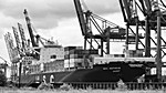 Waltershofer Hafen, Terminal Eurogate,